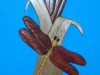 dragonfly-and-cattails-002