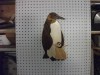 penguins-001